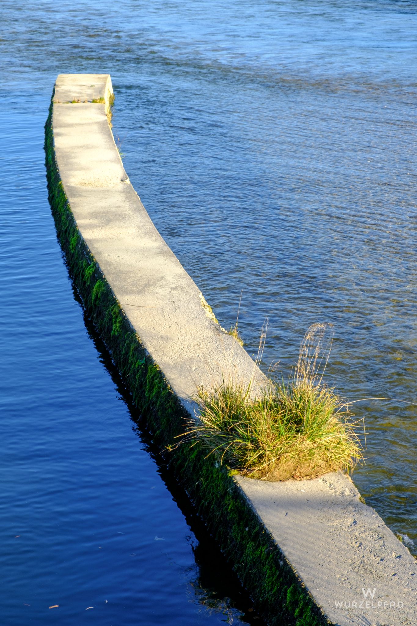 Detail am Ickinger Wehr